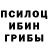 Галлюциногенные грибы Psilocybe Edgarator