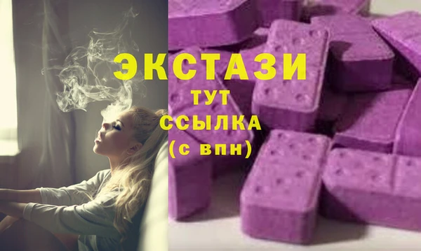 хмурый Дмитров