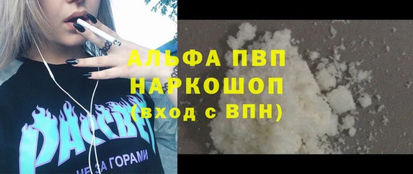 хмурый Дмитров