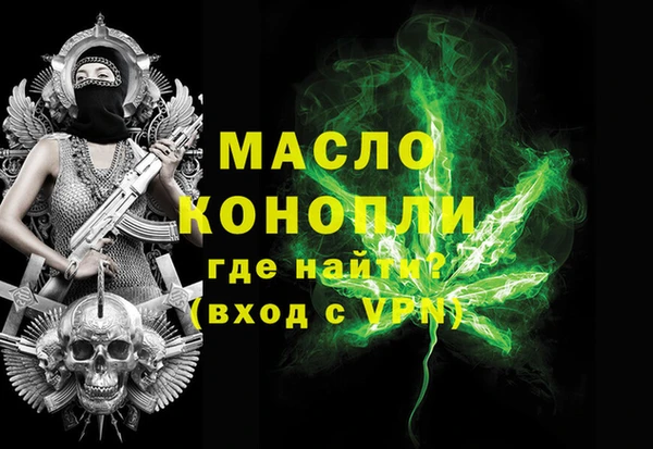 хмурый Дмитров