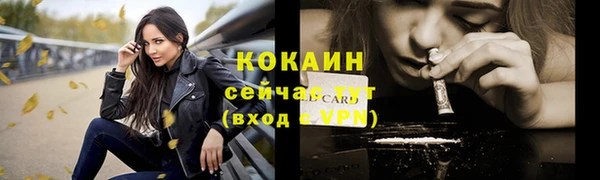 хмурый Дмитров