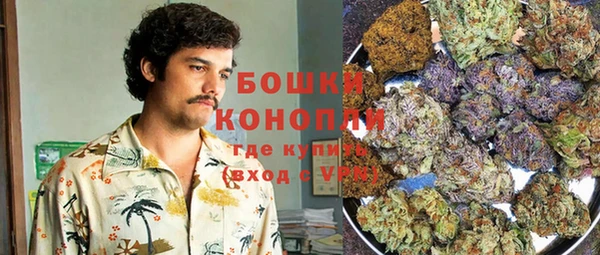 хмурый Дмитров