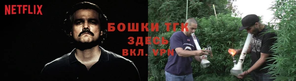 тгк Елизово