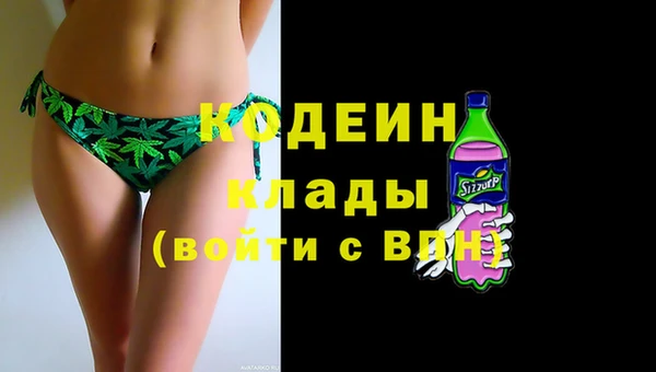 хмурый Дмитров