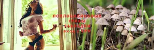 не бодяженный Дмитровск