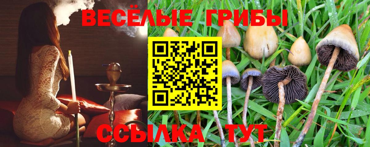 Псилоцибиновые грибы Magic Shrooms Великий Устюг