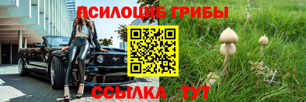 Псилоцибиновые грибы Magic Shrooms  Псилоцибиновые грибы Psilocybine cubensis  Великий Устюг 