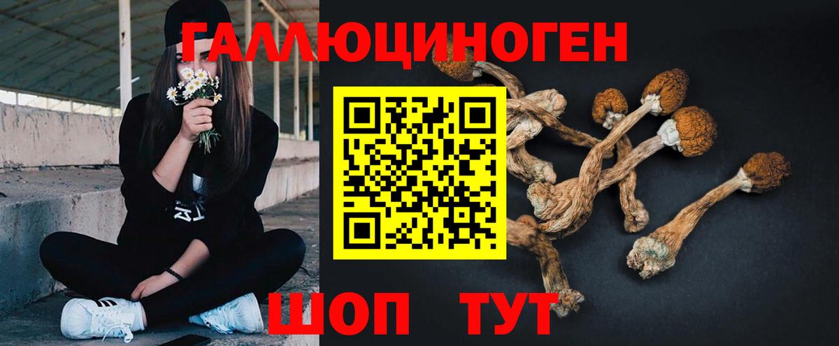 Великий Устюг  Галлюциногенные грибы мухоморы  Вход с VPN  Псилоцибиновые грибы Cubensis 