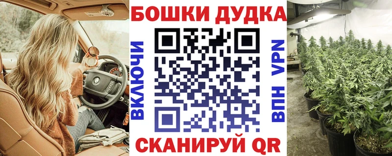 где купить наркоту Великий Устюг Конопля сатива